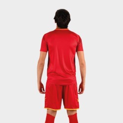 Kit Hero Zeus Flash Edition